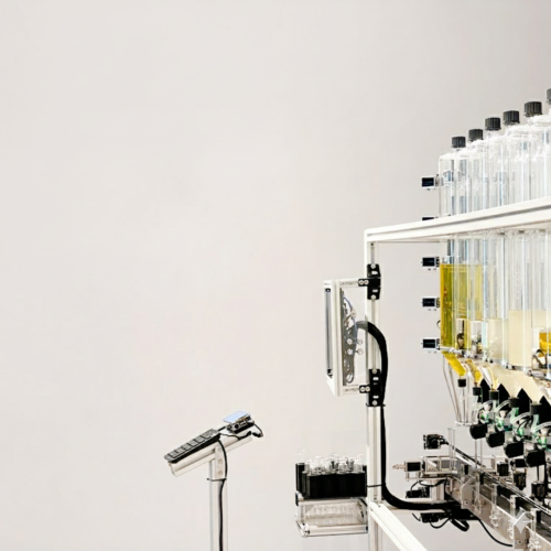 AP_Image_2scfns2scfns2scf